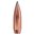Kaliber .30 (0,308") — 180 gr Soft-Point — 100/Packung