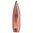 Kaliber .30 (0,308") — 180 gr Soft-Point — 100/Packung