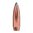 Kaliber .270 (0,277") 130 gr JSP Boattail, 100/Box