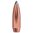 Kaliber .270 (0,277") 130 gr JSP Boattail, 100/Box