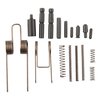 AR-15 Lower-Pin- und Feder-Set