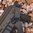 MS4 GEN2 Dual-QD Ein-/Zweipunkt-Gewehrgurt Stealth-Grau