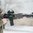 MOE Handguard M-LOK Rifle Length für AR-15 Grau