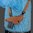 CLASSIC LITE H&K USP COMPACT 45 TAN, für Linkshänder