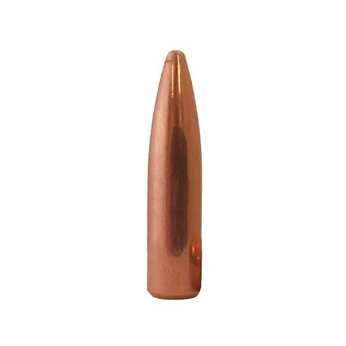 Die Berry's Superior Plated 300 AAC Blackout Geschosse bieten Präzision, sind günstiger als Vollmantelgeschosse und hinterlassen keine Bleirückstände im Lauf.