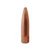 Die Berry's Superior Plated 300 AAC Blackout Geschosse bieten Präzision, sind günstiger als Vollmantelgeschosse und hinterlassen keine Bleirückstände im Lauf.