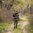 GUNRUNNER Rucksack – Mountain