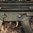 Erweitertes Selektor-Kit für SL Grip Mod & HK Poly Trigger