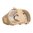 BROKOS Dump-Pouch Coyote