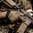 PATROL GLOVE 2.0 COYOTE XL, 1 Paar