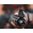 MBUS 3 Front Sight – klappbares, verstellbares Vordervisier, Polymer, schwarz