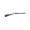 HENRY REPEATING ARMS Law Enforcement Tribute Ed. 20in 22 LR Blue 16