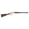 GOLDEN BOY SILVER 20" 17 HMR brüniert 11+1