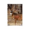 BC PREGAME 16,5 x 24 in. Whitetail-Zielscheibe 3er-Pack