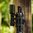 REIN 3.0 MICRO DUAL-FUEL Waffenlicht 1000 Lumen M-LOK Schwarz