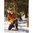 R95 45-70 GOVERNMENT 16,5" Lauf 5 Schuss Schwarz/Nussbaum