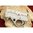 Einstufige Abzugsgruppe für RUGER10/22, silber, verlängert