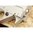 Einstufige Abzugsgruppe für RUGER10/22, silber, verlängert