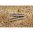 Empfänger-Querstifte für Ruger 10/22 LR