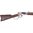 HENRY REPEATING ARMS H10 AMERICA 250TH AV ED .45-70 GOVT 22"BBL 4RD BLACK/WALNUT