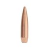 Die MATCHKING 22 CALIBER 80GR HPBT Geschosse bieten dir höchste Präzision und Ballistik für Wettkämpfe auf lange Distanz, auch unter schwierigen Bedingungen.