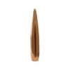 30 Kaliber (0,308") 200 gr Hohlspitze BT 100er Pack